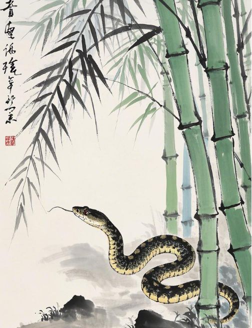 ·经属蛇本命年注意事项爱游戏平台侯宗原国学易